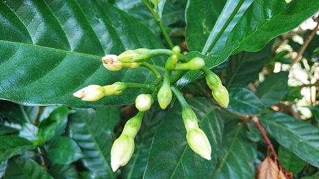 《重力异想世界》制作人解释SIE日本工作室被关闭：索尼只想要3A大作