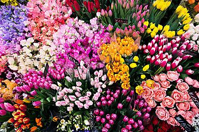 索尼游戏Steam销量泄露 《地平线：零之曙光》销量最好