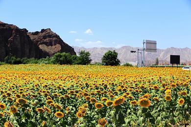 微软将于本周四举办Xbox合作伙伴预览活动